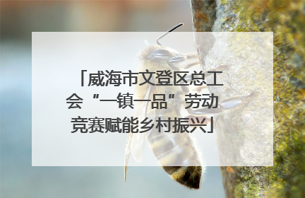 威海市文登区总工会“一镇一品”劳动竞赛赋能乡村振兴