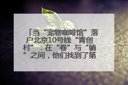 当“宠物咖啡馆”落户北京10号线“青创村”：在“卷”与“躺”之间，他们找到了第三种生活公式