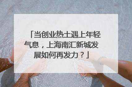 当创业热土遇上年轻气息，上海南汇新城发展如何再发力？