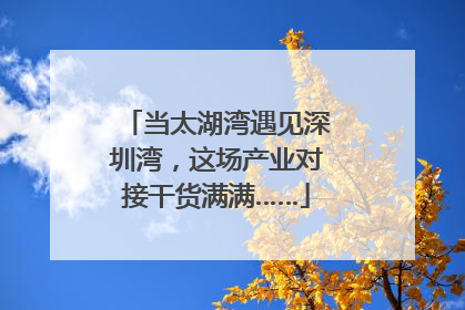 当太湖湾遇见深圳湾，这场产业对接干货满满……