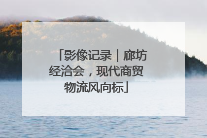 影像记录｜廊坊经洽会，现代商贸物流风向标
