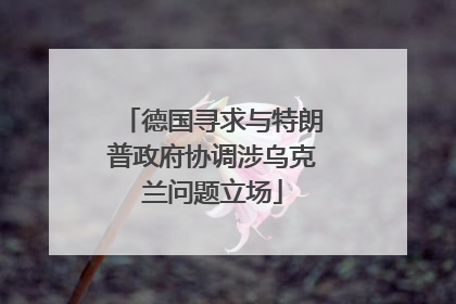 德国寻求与特朗普政府协调涉乌克兰问题立场