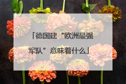 德国建“欧洲最强军队”意味着什么