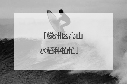 徽州区高山水稻种植忙