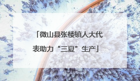 微山县张楼镇人大代表助力“三夏”生产