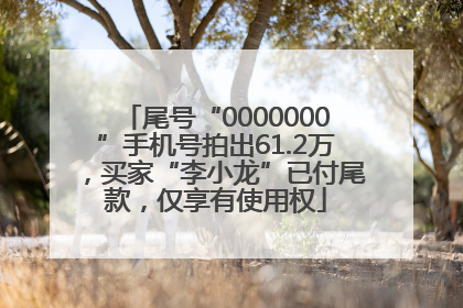 尾号“0000000”手机号拍出61.2万，买家“李小龙”已付尾款，仅享有使用权
