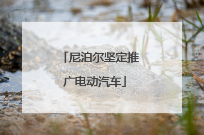 尼泊尔坚定推广电动汽车