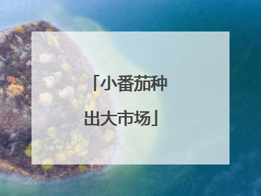 小番茄种出大市场