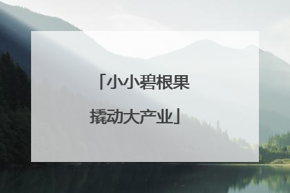 小小碧根果撬动大产业