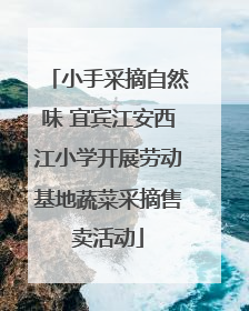 小手采摘自然味 宜宾江安西江小学开展劳动基地蔬菜采摘售卖活动