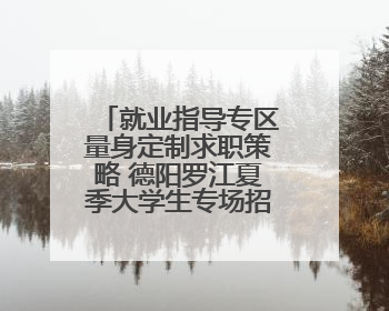 就业指导专区量身定制求职策略 德阳罗江夏季大学生专场招聘会成功举办