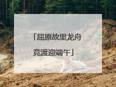 屈原故里龙舟竞渡迎端午