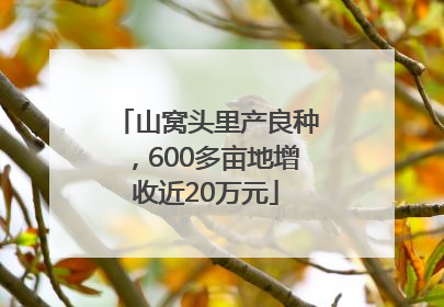 山窝头里产良种，600多亩地增收近20万元