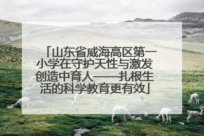 山东省威海高区第一小学在守护天性与激发创造中育人——扎根生活的科学教育更有效