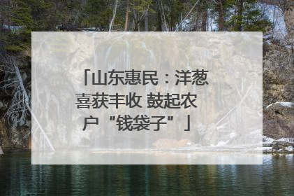 山东惠民：洋葱喜获丰收 鼓起农户“钱袋子”