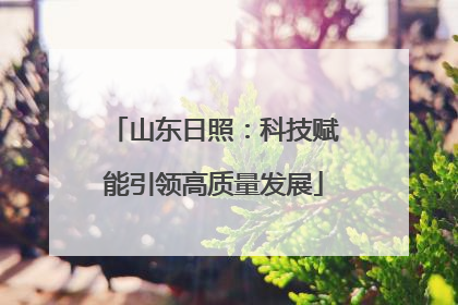 山东日照：科技赋能引领高质量发展