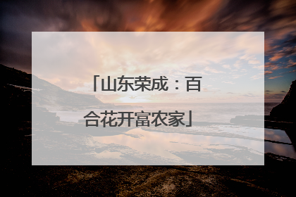 山东荣成：百合花开富农家