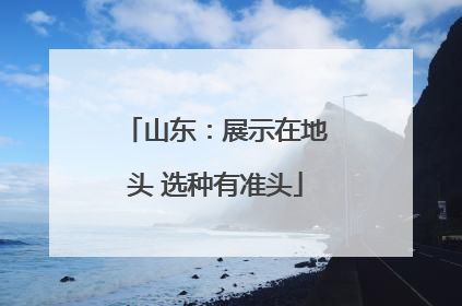 山东：展示在地头 选种有准头