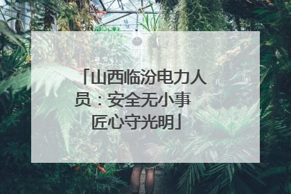 山西临汾电力人员：安全无小事 匠心守光明
