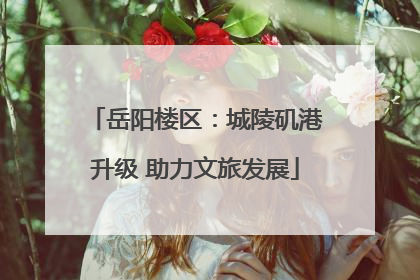 岳阳楼区：城陵矶港升级 助力文旅发展