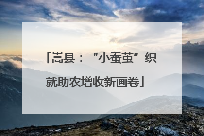 嵩县：“小蚕茧”织就助农增收新画卷