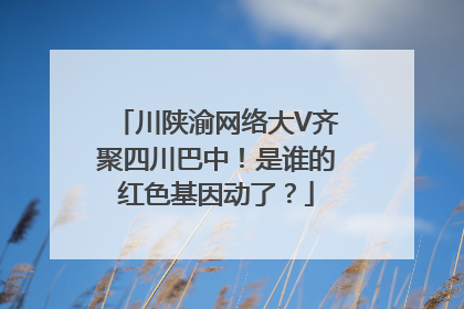 川陕渝网络大V齐聚四川巴中！是谁的红色基因动了？
