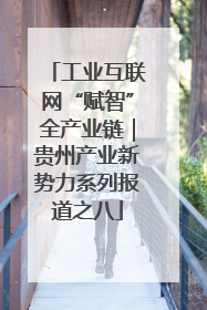 工业互联网“赋智”全产业链｜贵州产业新势力系列报道之八
