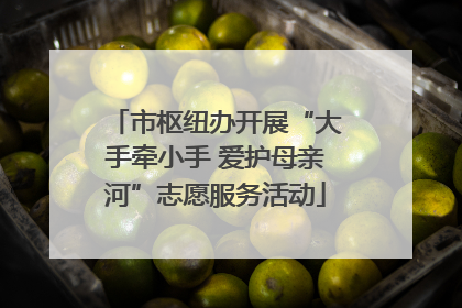 市枢纽办开展“大手牵小手 爱护母亲河”志愿服务活动