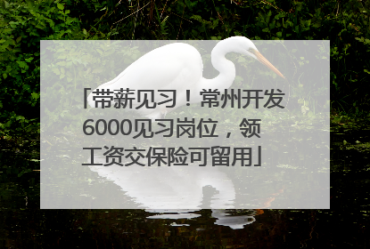 带薪见习！常州开发6000见习岗位，领工资交保险可留用
