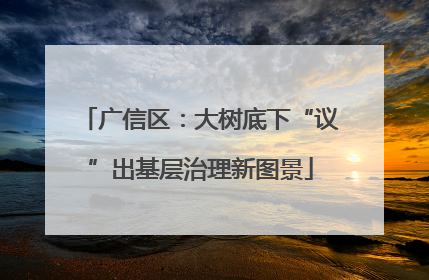 广信区：大树底下“议”出基层治理新图景