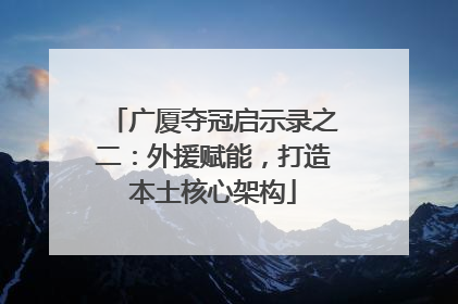 广厦夺冠启示录之二：外援赋能，打造本土核心架构