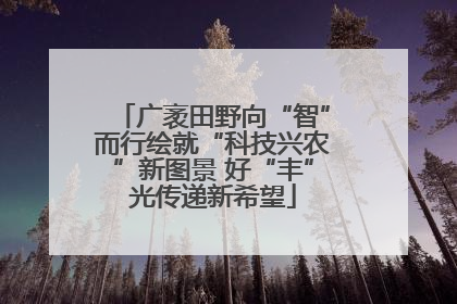 广袤田野向“智”而行绘就“科技兴农”新图景 好“丰”光传递新希望