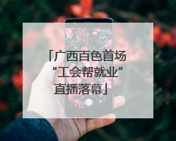 广西百色首场“工会帮就业”直播落幕