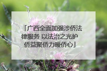 广西全面加强涉侨法律服务 以法治之光护侨益聚侨力暖侨心