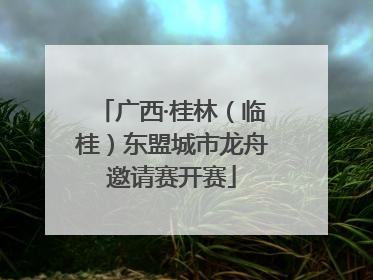 广西·桂林（临桂）东盟城市龙舟邀请赛开赛