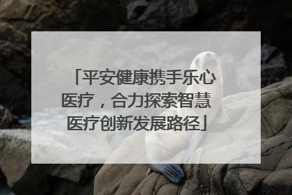 平安健康携手乐心医疗，合力探索智慧医疗创新发展路径