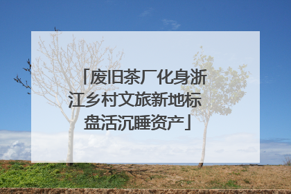 废旧茶厂化身浙江乡村文旅新地标 盘活沉睡资产
