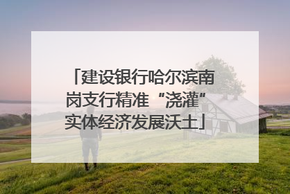 建设银行哈尔滨南岗支行精准“浇灌”实体经济发展沃土