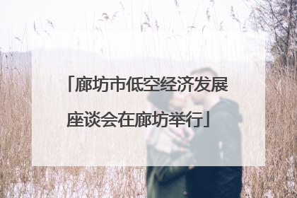 廊坊市低空经济发展座谈会在廊坊举行