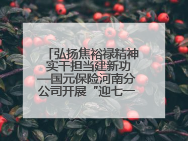 弘扬焦裕禄精神 实干担当建新功—国元保险河南分公司开展“迎七一”主题党日活动