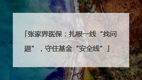 张家界医保：扎根一线“找问题”，守住基金“安全线”