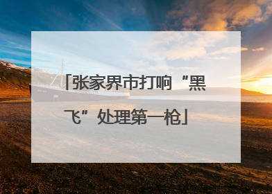张家界市打响“黑飞”处理第一枪