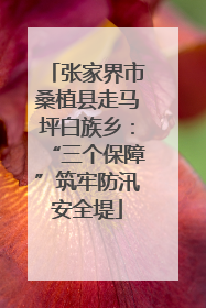 张家界市桑植县走马坪白族乡：“三个保障”筑牢防汛安全堤