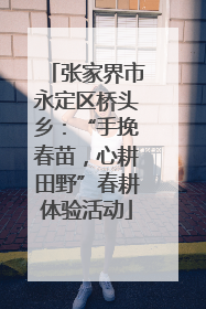 张家界市永定区桥头乡：“手挽春苗，心耕田野”春耕体验活动