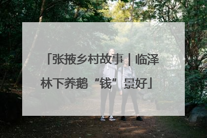 张掖乡村故事｜临泽林下养鹅“钱”景好