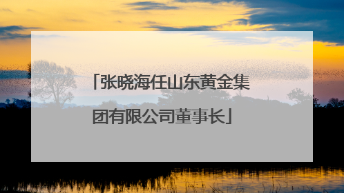 张晓海任山东黄金集团有限公司董事长