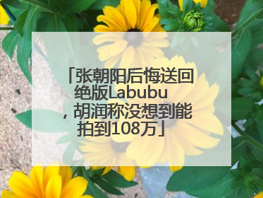 张朝阳后悔送回绝版Labubu，胡润称没想到能拍到108万