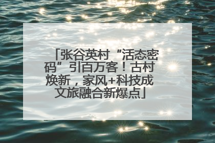 张谷英村“活态密码”引百万客！古村焕新，家风+科技成文旅融合新爆点