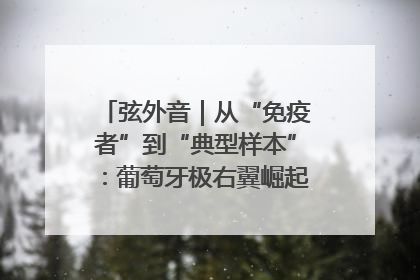 弦外音｜从“免疫者”到“典型样本”：葡萄牙极右翼崛起背后的欧洲困局