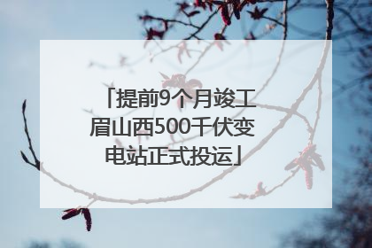 提前9个月竣工 眉山西500千伏变电站正式投运
